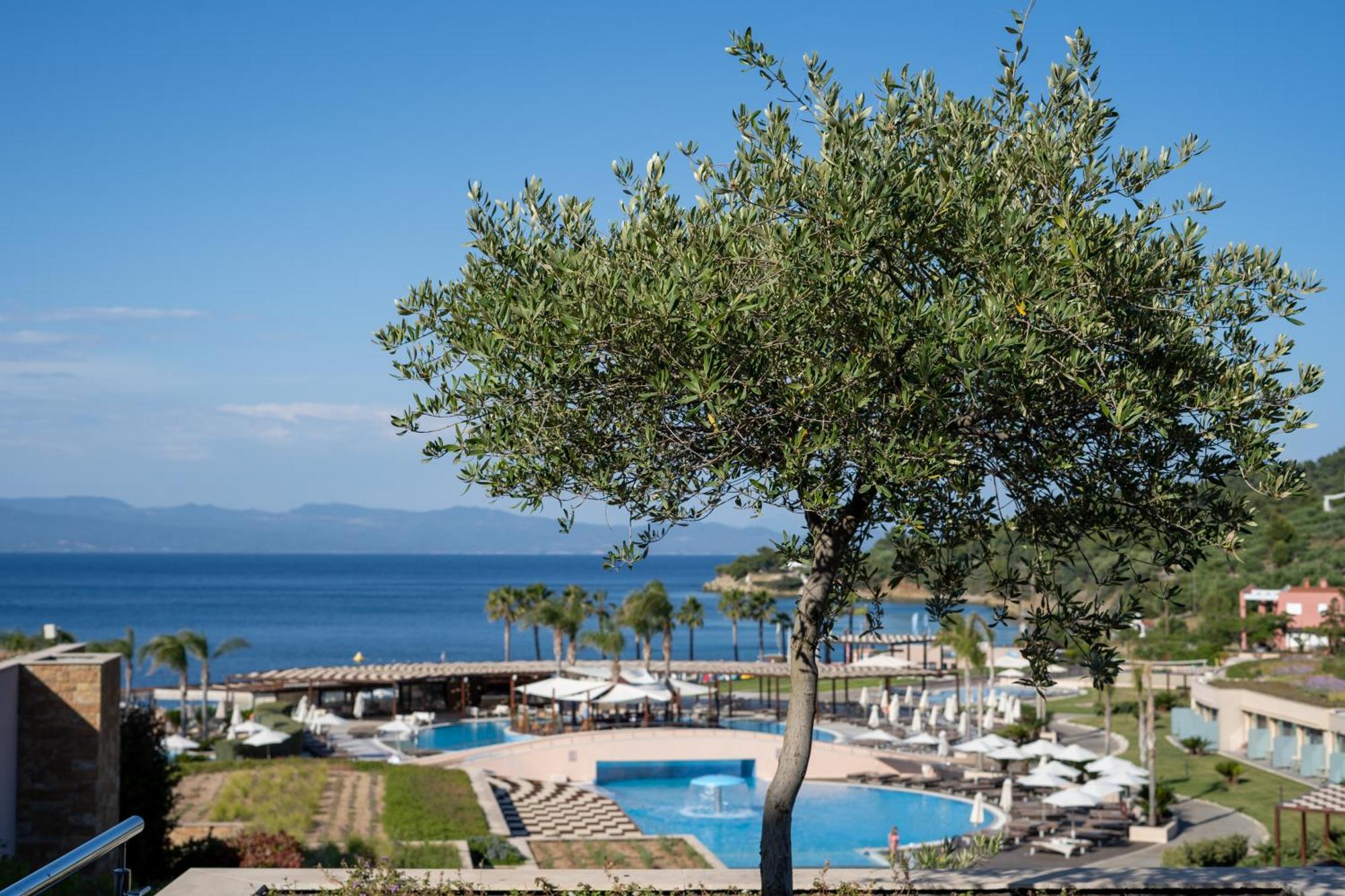 Miraggio Thermal Spa Resort باليوري المظهر الخارجي الصورة View of the bay of Nikiti
